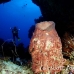 sponge_barrel_arch_h_0705_png1027.jpg